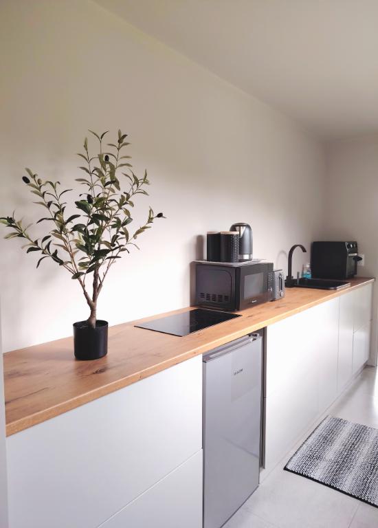 To Let 1 Bedroom Property for Rent in Brackenridge Western Cape